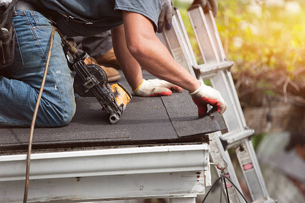 Best Roof Gutter Cleaning  in Loveland, OH